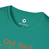 OLD SOUL  -  No Excuses T-Shirt,  Unisex T-Shirt, Vintage Vibe T-shirt - Old Soul AZ 